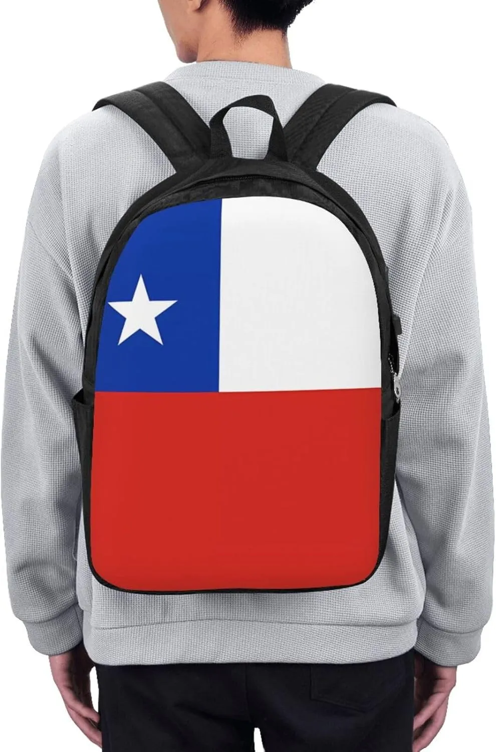 Chile Chilean Flag Laptop Backpacks Travel Backpack Casual Business Daypack Sport Rucksack Computer Bag Fits up to 17 Inch Notebook with USB Port