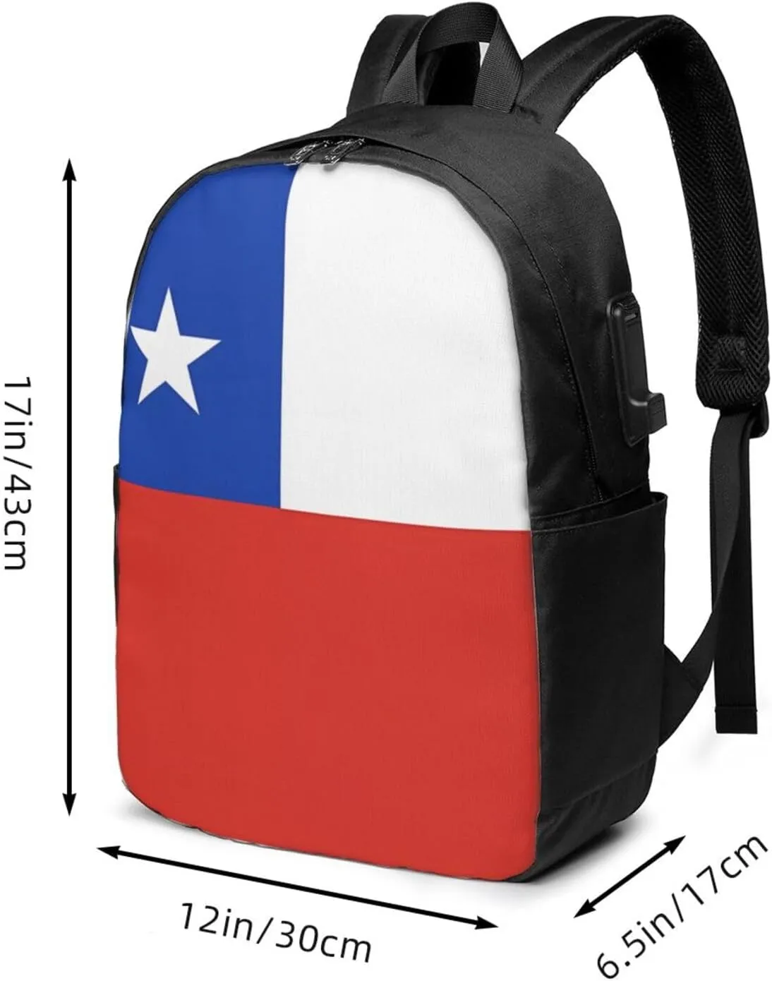 Chile Chilean Flag Laptop Backpacks Travel Backpack Casual Business Daypack Sport Rucksack Computer Bag Fits up to 17 Inch Notebook with USB Port