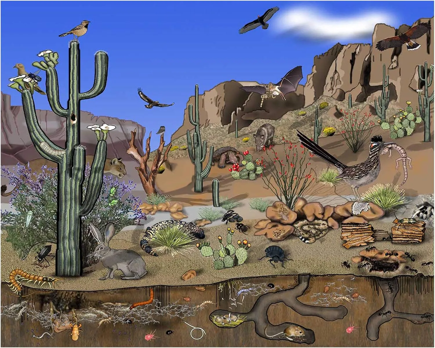 Desert Animals Cactus Canyon Scenic Backdrop Large Banner Photography Studio Fabric Background Photobooth Prop 7x6feet #2211