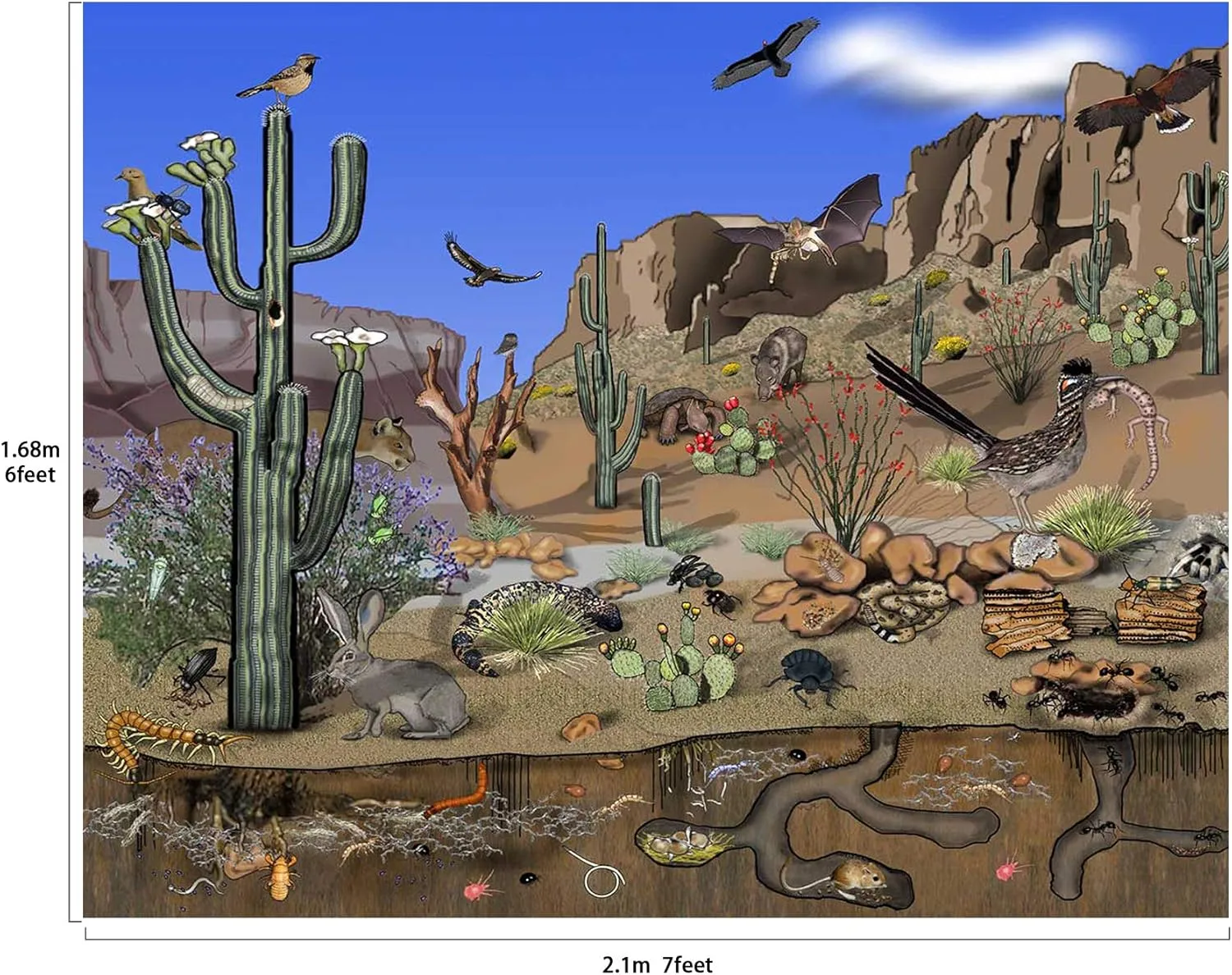 Desert Animals Cactus Canyon Scenic Backdrop Large Banner Photography Studio Fabric Background Photobooth Prop 7x6feet #2211