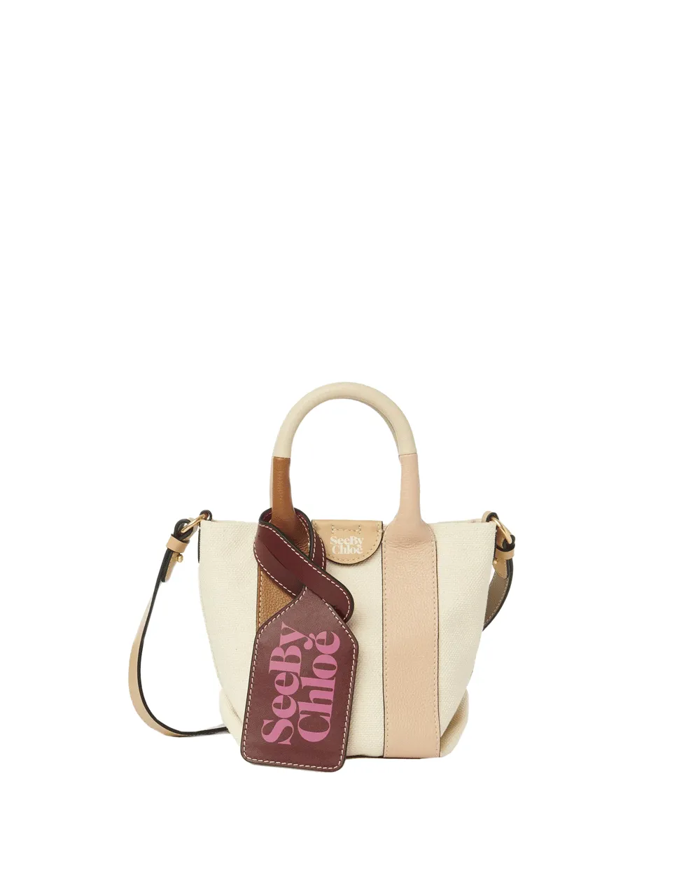 Mini Laetizia Crossbody Tote in Carmello