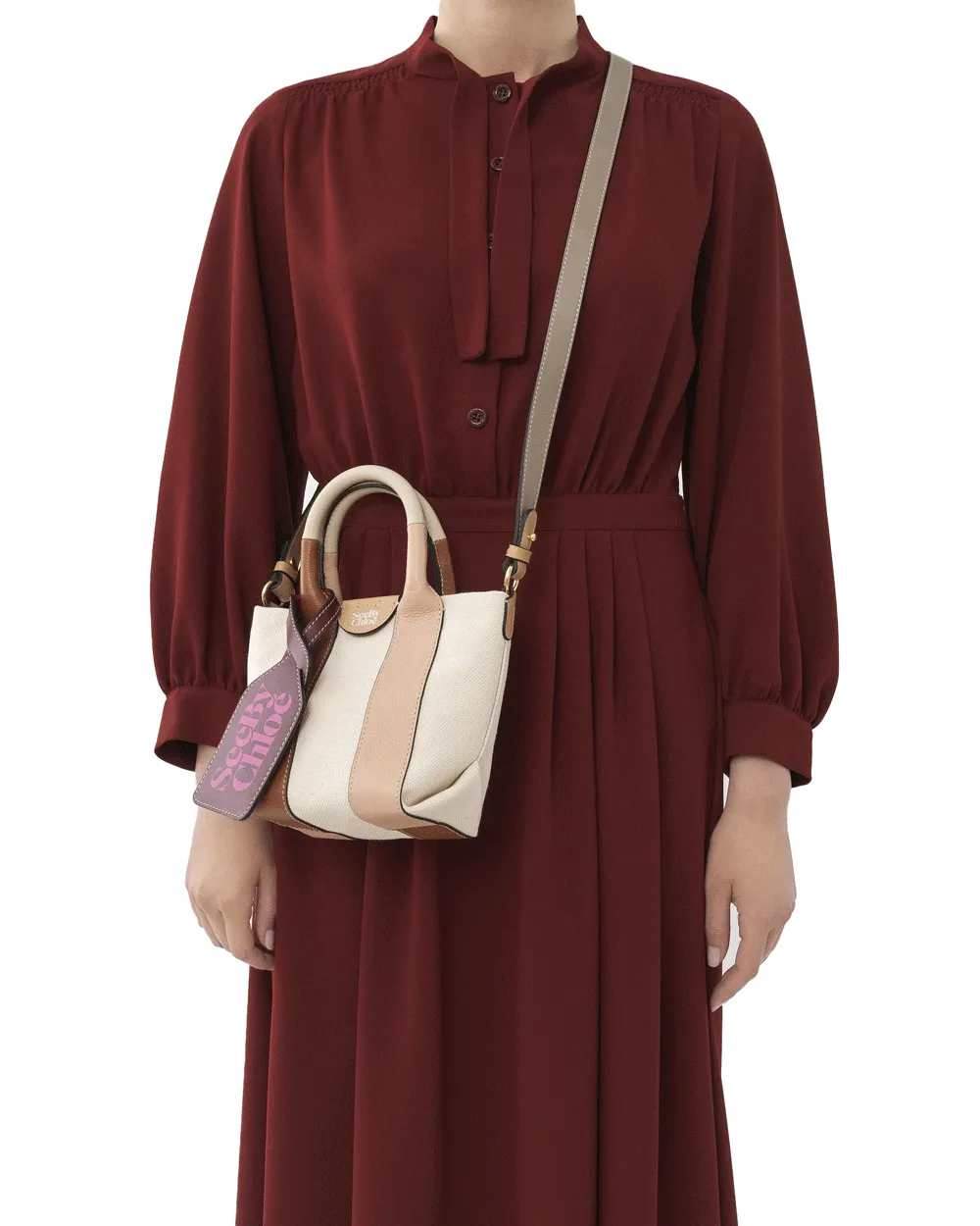 Mini Laetizia Crossbody Tote in Carmello
