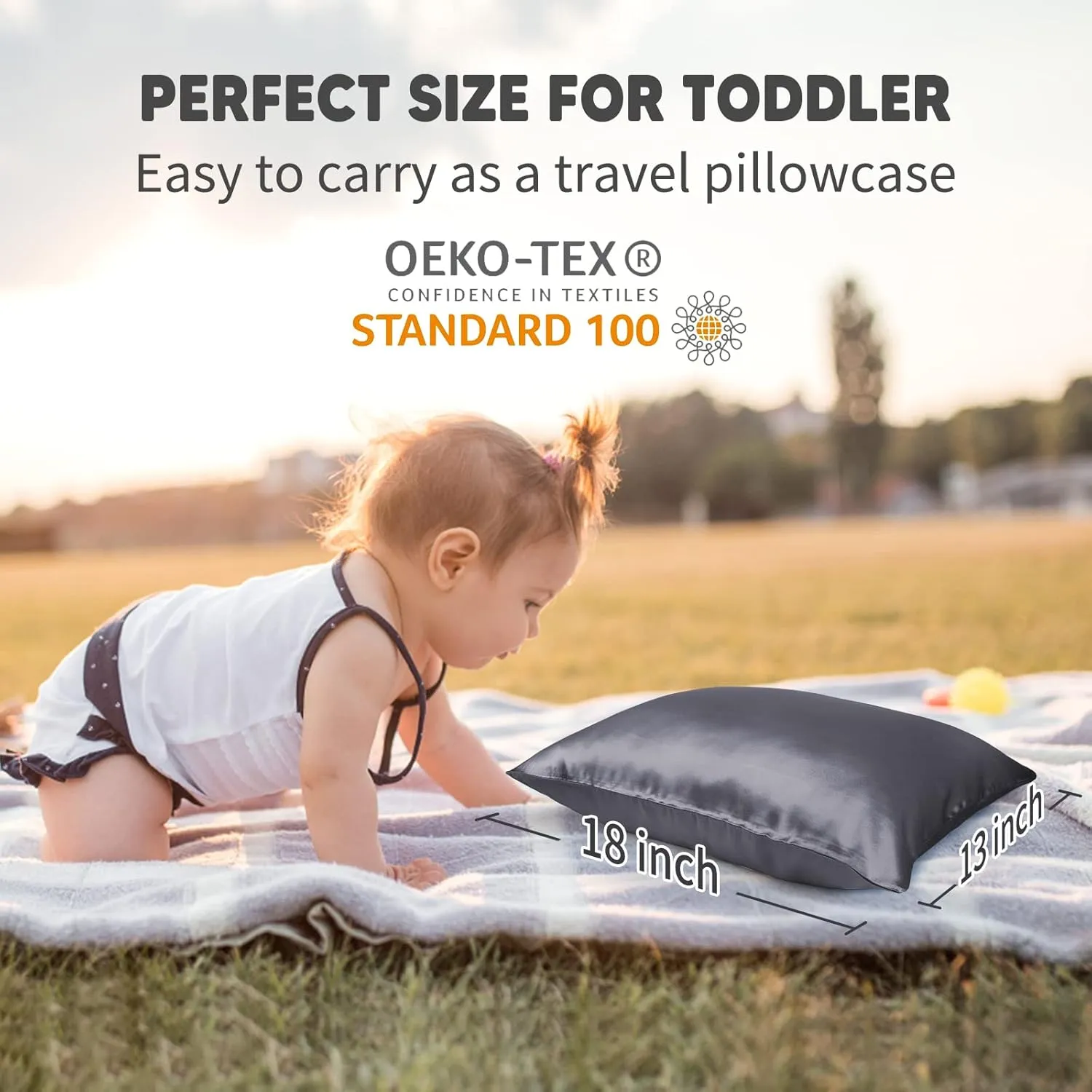 OLESILK 100% Mulberry Silk Toddler Pillowcase for Hair and Skin, Both Sides 19 Momme Pure Natural Silk Travel Pillow Cases with Hidden Zipper, 13"x 18", Iron Grey
