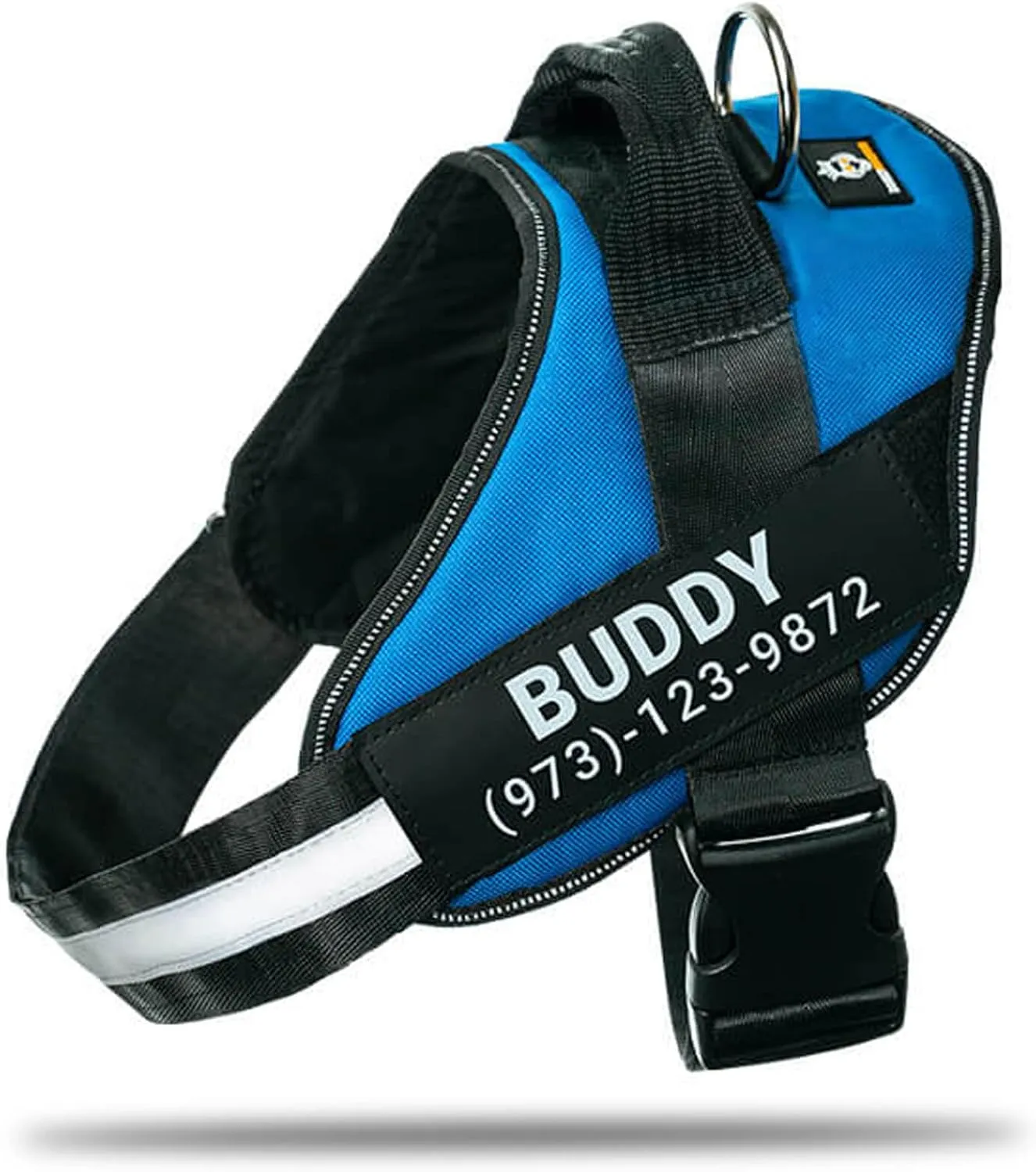 Personalized No-Pull Dog Harness with Name Patch, Adjustable, Reflective, Padded, Heavy Duty Pet Vest to Prevent Tugging, Pulling, or Choking, Training and Walking, Blue, XS