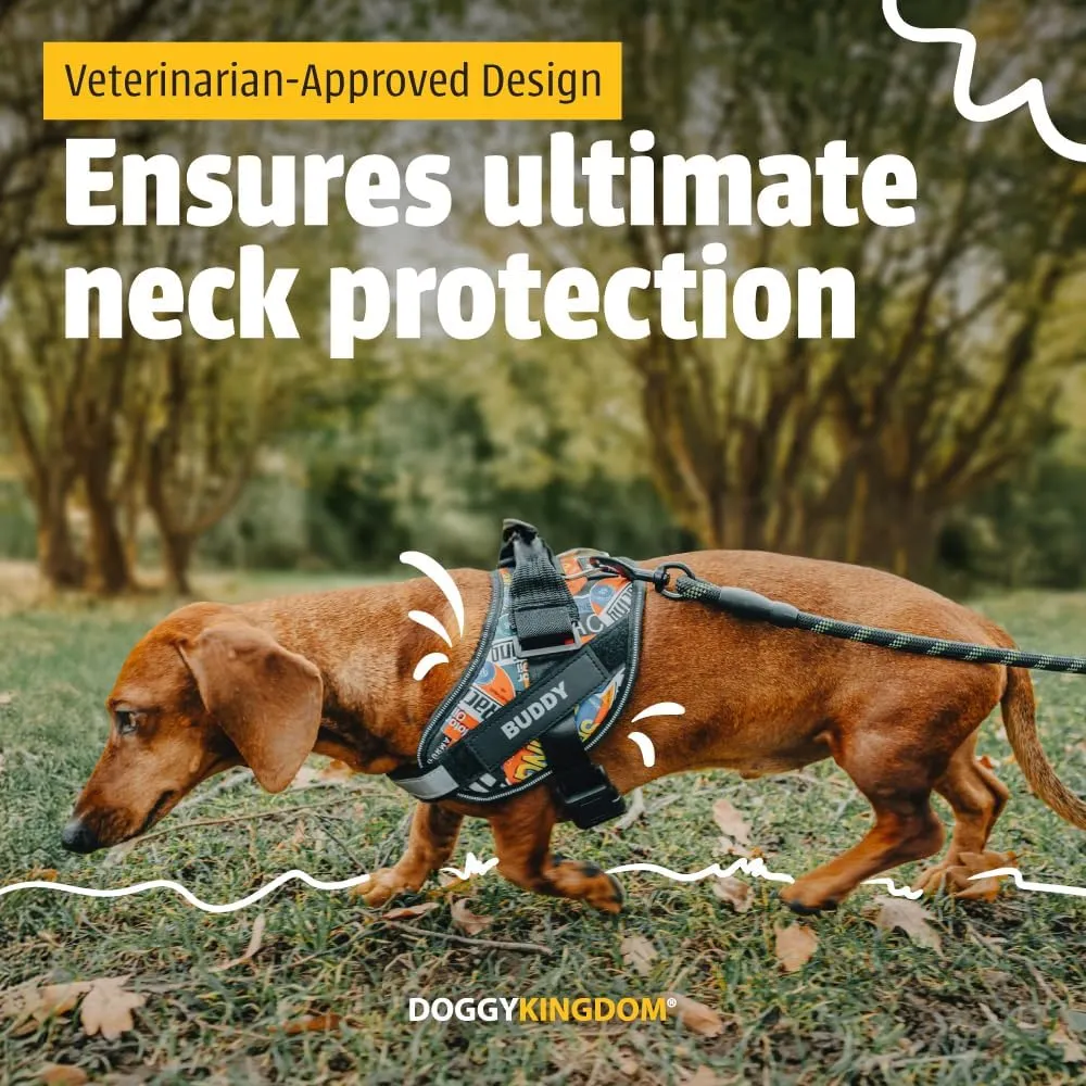 Personalized No-Pull Dog Harness with Name Patch, Adjustable, Reflective, Padded, Heavy Duty Pet Vest to Prevent Tugging, Pulling, or Choking, Training and Walking, Blue, XS
