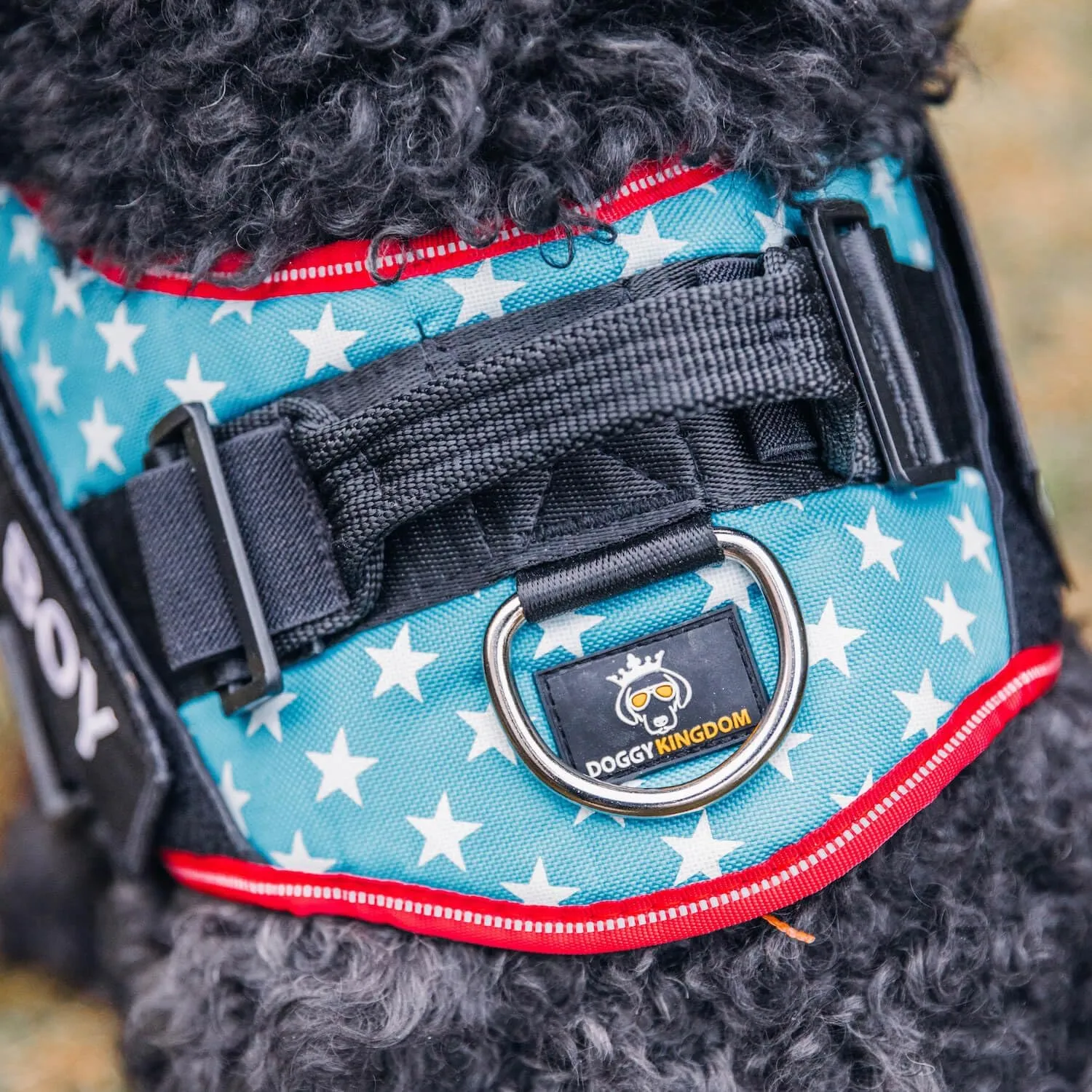 Personalized No-Pull Dog Harness with Name Patch, Adjustable, Reflective, Padded, Heavy Duty Pet Vest to Prevent Tugging, Pulling, or Choking, Training and Walking, Blue, XS
