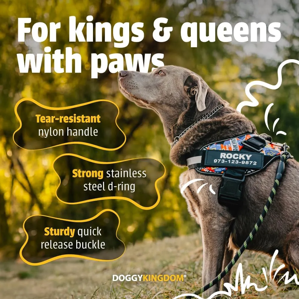 Personalized No-Pull Dog Harness with Name Patch, Adjustable, Reflective, Padded, Heavy Duty Pet Vest to Prevent Tugging, Pulling, or Choking, Training and Walking, Blue, XS