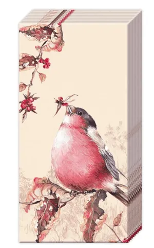 Pocket Tissues- Beautiful Bullfinch