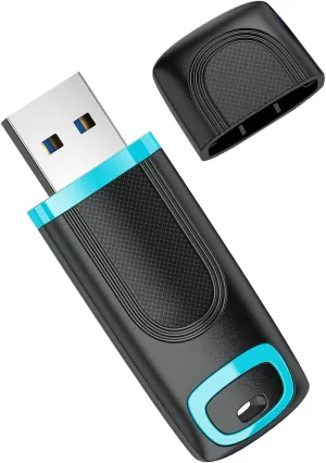 RAOYI 256GB Flash Drive USB 3.0 High Speed Thumb Drive for PC & Laptop