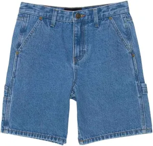 Rsq Boys Carpenter Jorts