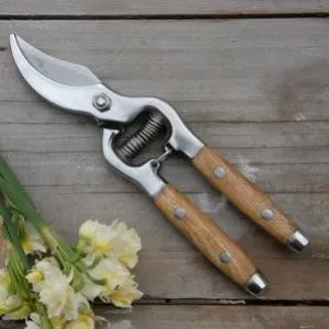 Secateurs Ash Handles