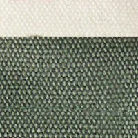 True Religion Mini Tote, Sage